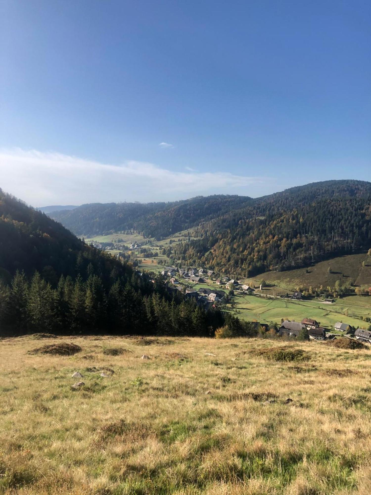 Forest Apartment-Mountain Escape Menzenschwand St. Blasien Eksteriør bilde