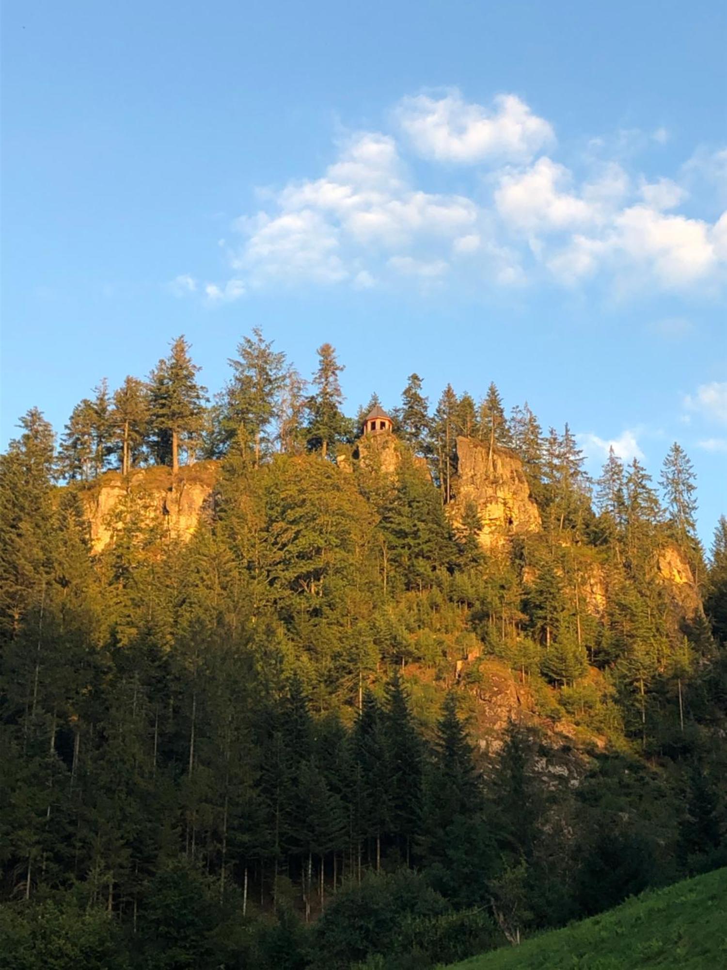 Forest Apartment-Mountain Escape Menzenschwand St. Blasien Eksteriør bilde